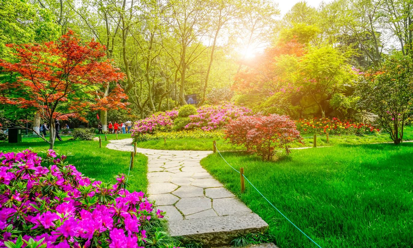 landscape_garden